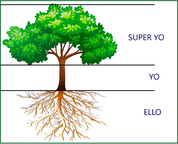 Test Gráfico del Árbol, qué es y cómo se interpreta