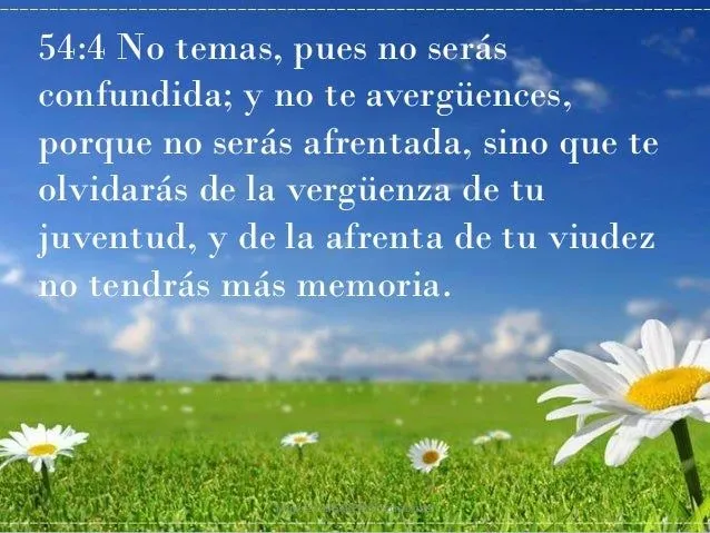 texto-bblico-destacado-para-la ...