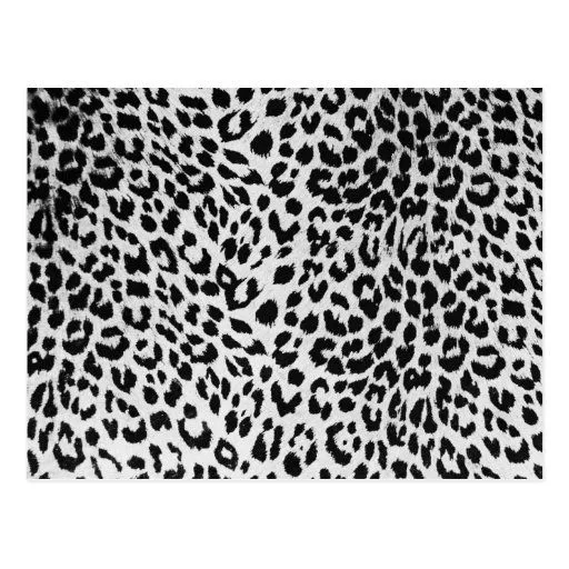 La textura del leopardo (negro y blanco) postales de Zazzle.