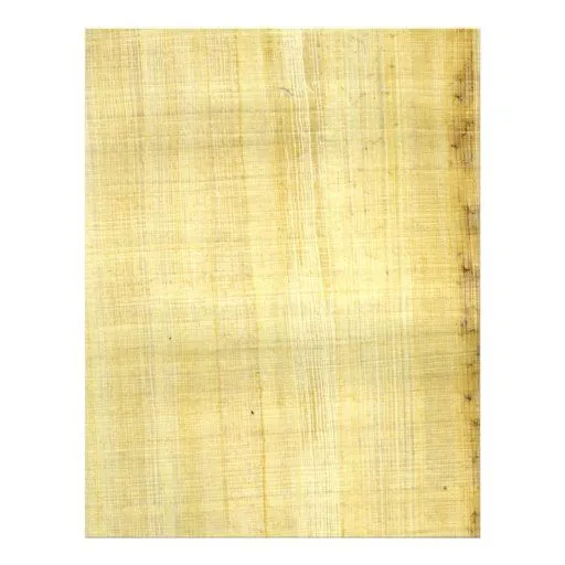 Textura del papiro folleto 21,6 x 28 cm | Zazzle