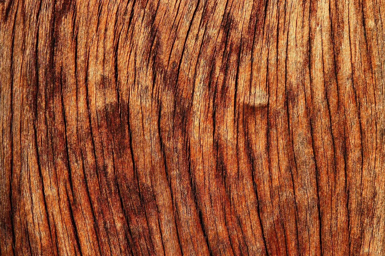 Texturas de Madera [Wood Texture] | Fotos e Imágenes en FOTOBLOG X