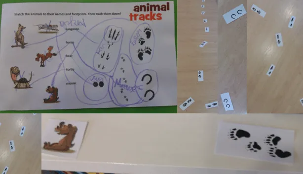 The 10 kids project: Animal tracks!