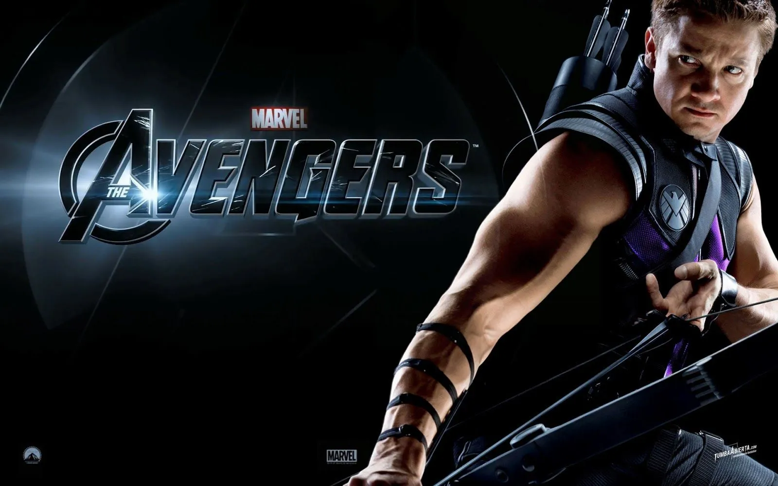 The Avengers {2012} 720p BluRay EngUrduHindi Free Download ...