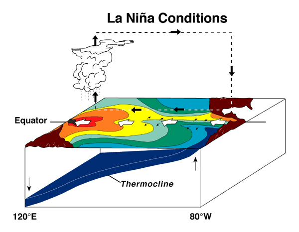 The ENSO Cycle Vol.11, No.4