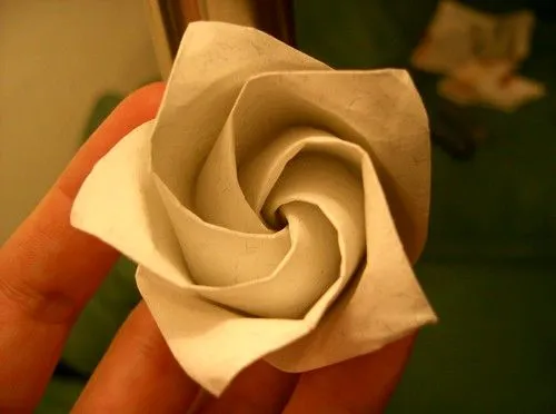 The Fitful Flog » Blog Archive » Origami Rose Nation, Rising!