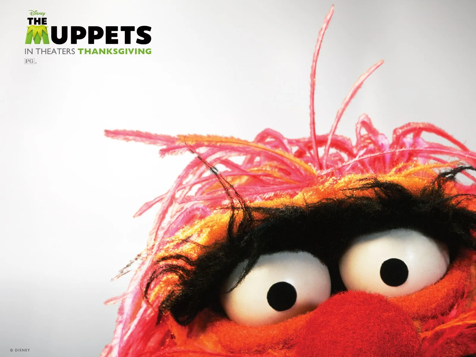 THE MUPPETS MOVIE 2011 WALLPAPERS - Dibujos Animados | lecturas.org