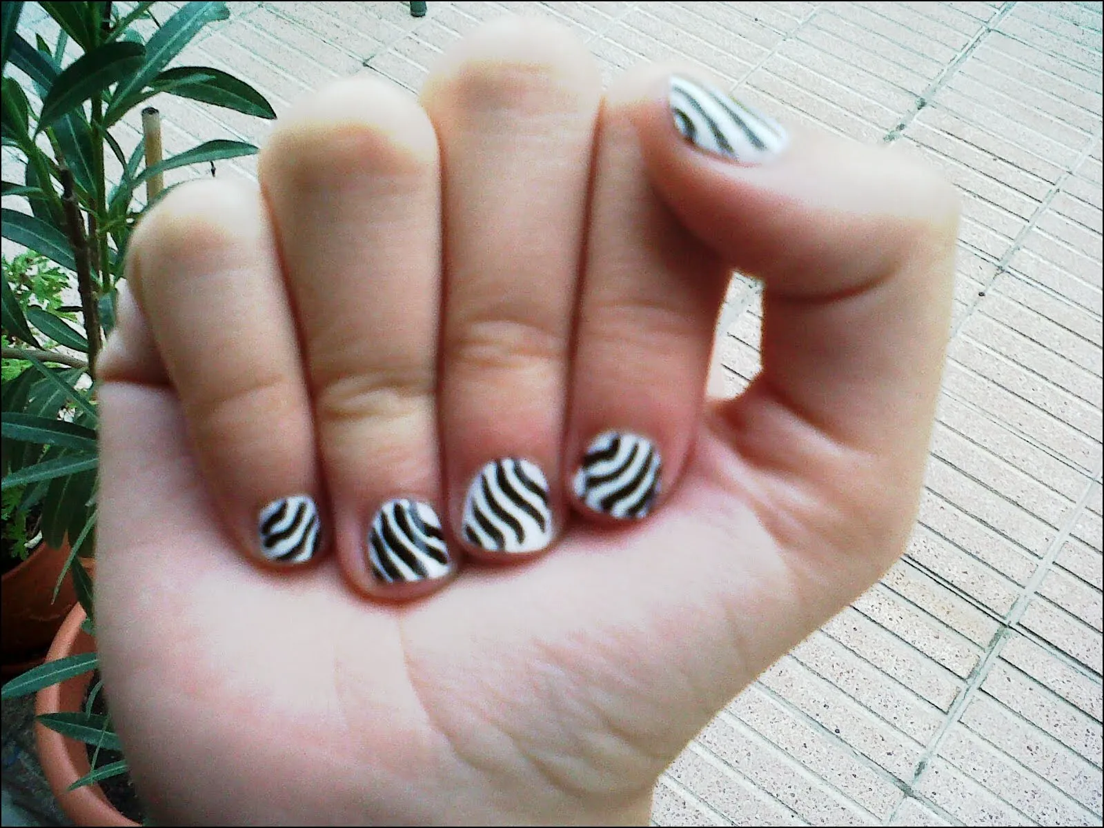 The Party in USA: Otras uñas de cebra./ Other zebra nails.