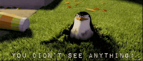 The Penguins Of Madagascar GIFs on Giphy