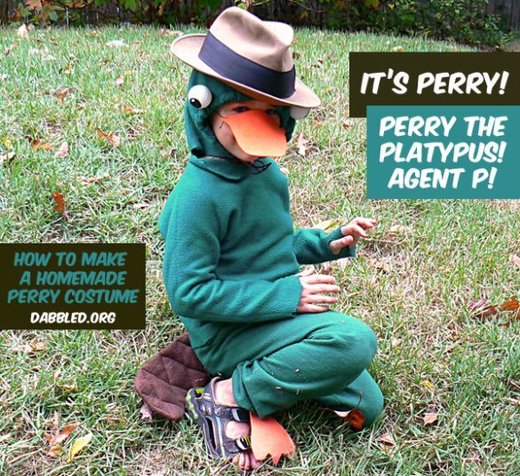 The Perry The Platypus Costume | Perry the platypus, Hoodie halloween  costumes, Platypus