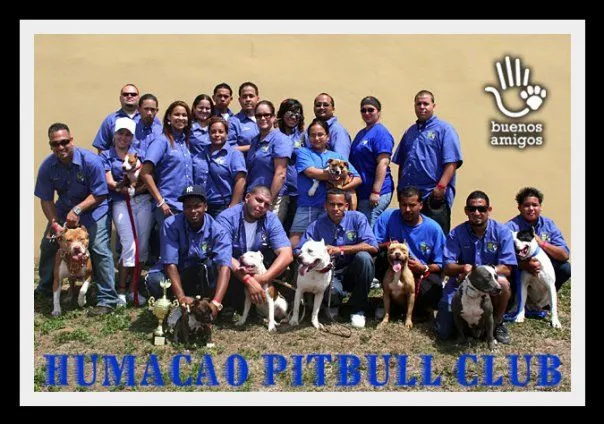 THE PIT BULL WORLD ASSOCIATION: noviembre 2010