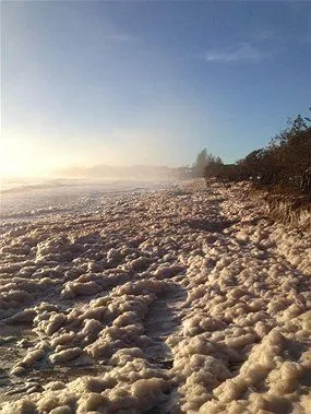 The secret of sea foam › Dr Karl's Great Moments In Science (ABC ...