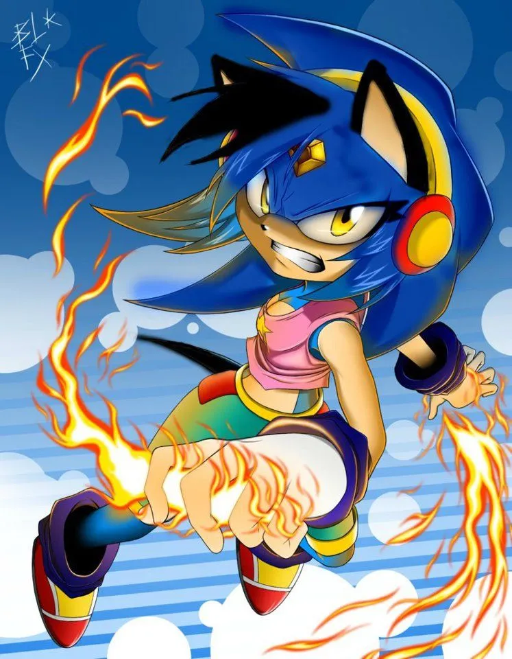 The Sonay Fire Hedgehog