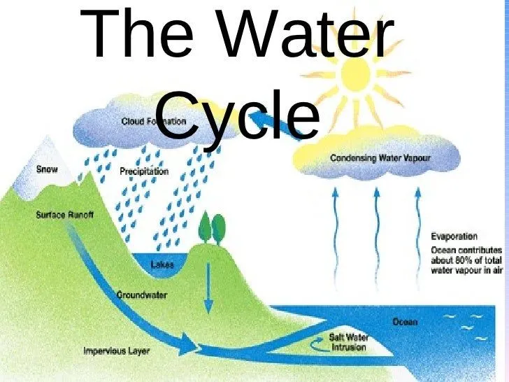 The Water Cycle Final Product