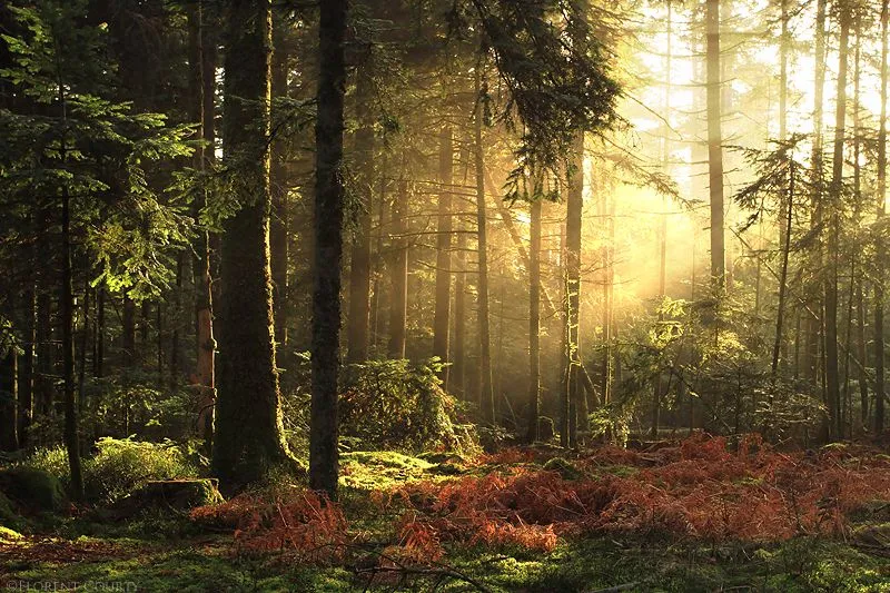 These special moments... by FlorentCourty on deviantART