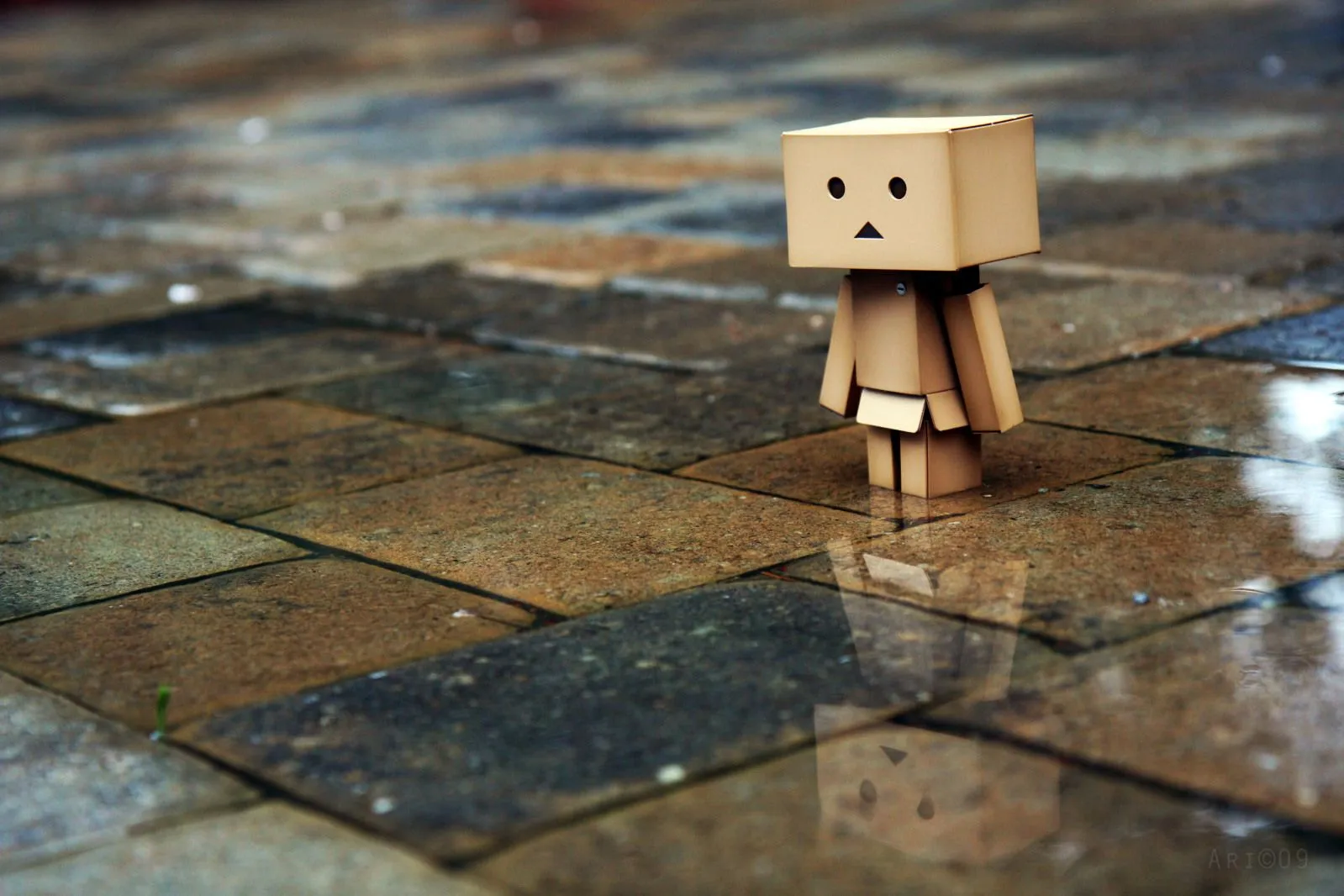 They Call Me Sunshine: Danbo - A cute cardboard character :)