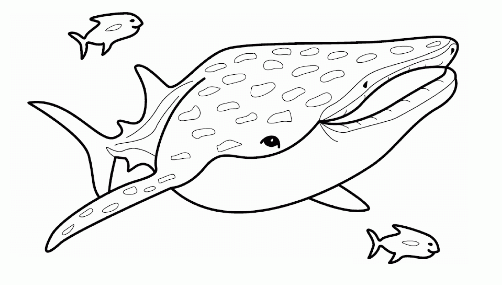 Tiburon ballena para dibujar - Imagui