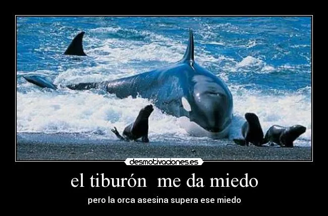 el tiburón me da miedo | Desmotivaciones