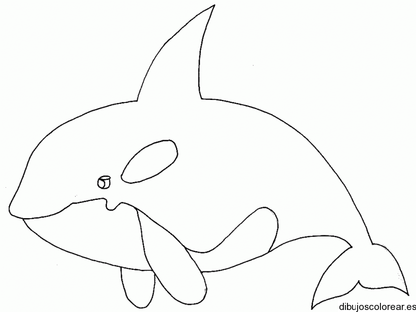 Tiburones | Dibujos para Colorear