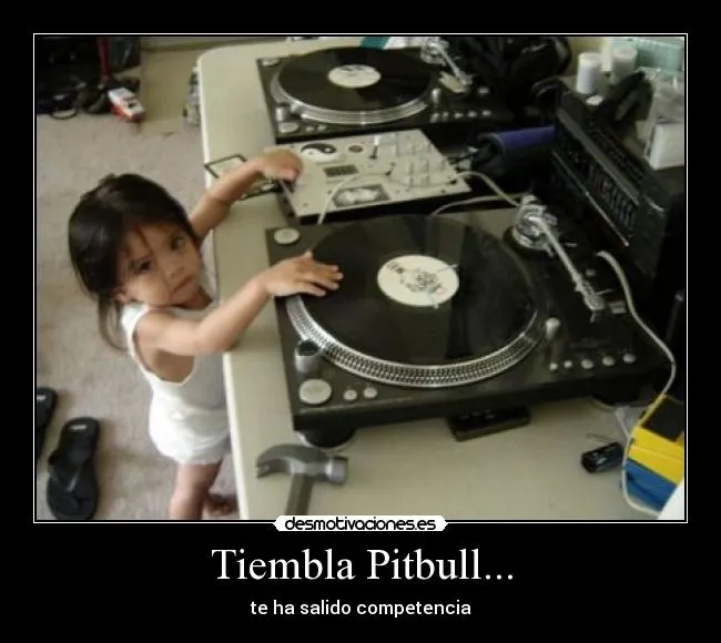 Tiembla Pitbull... | Desmotivaciones