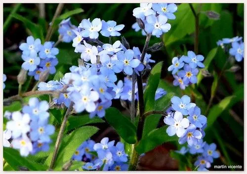 el tiempo, por si mismo: Azules