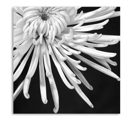 Tienda decoraci?n Artículos de decoración - Cuadros - Set cuadros ...