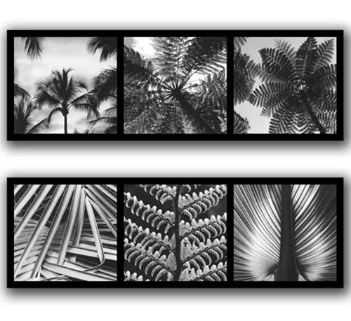 Tienda decoraci?n Artículos de decoración - Cuadros - Set lienzos ...