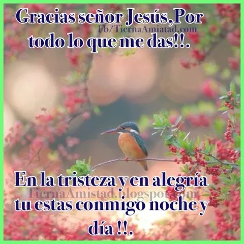 Tierna Amistad : Gracias señor por todas tus bendiciones hoy más ...