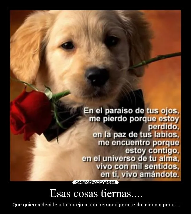 Esas cosas tiernas.... | Desmotivaciones