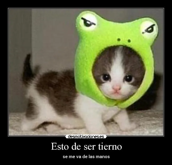 Esto de ser tierno | Desmotivaciones