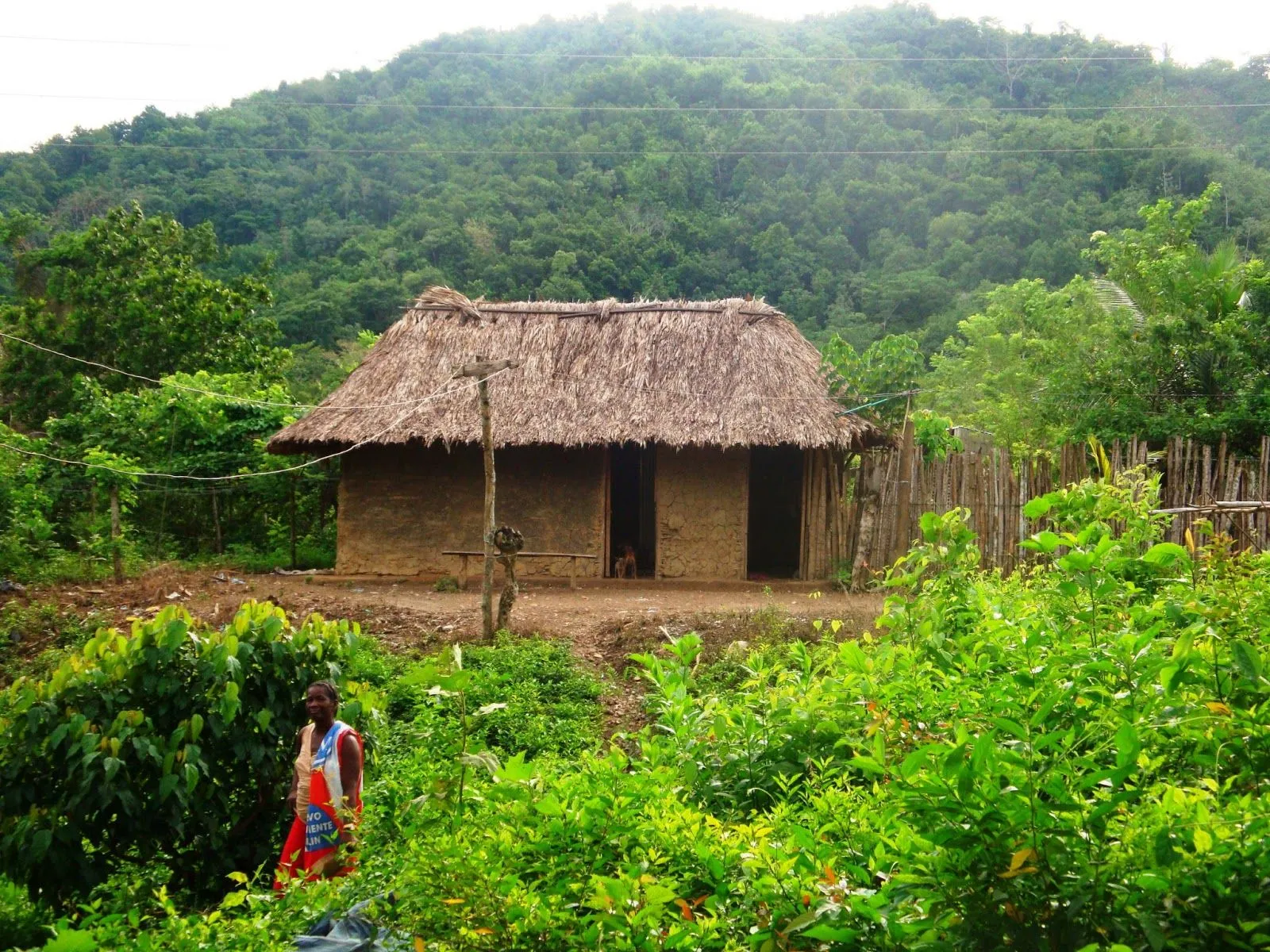 Mi Tierra, Mi Identidad