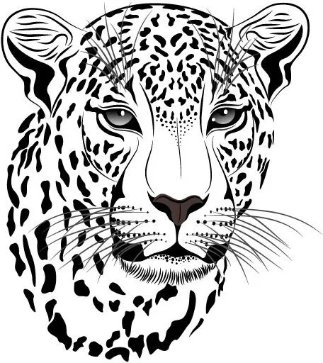 Tiger leopard vector Free vector for free download about (10) Free ...