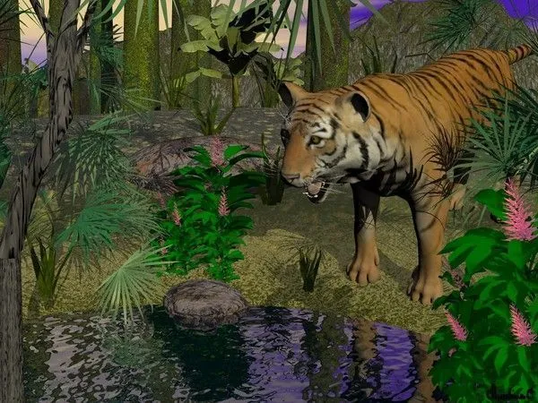 Tigre 3D