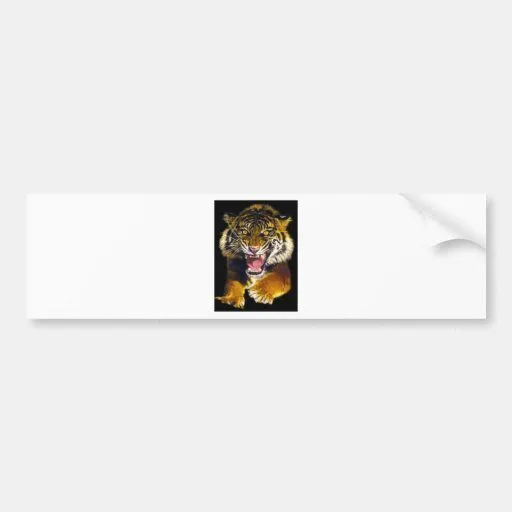 Tigre Adesivo | Zazzle.