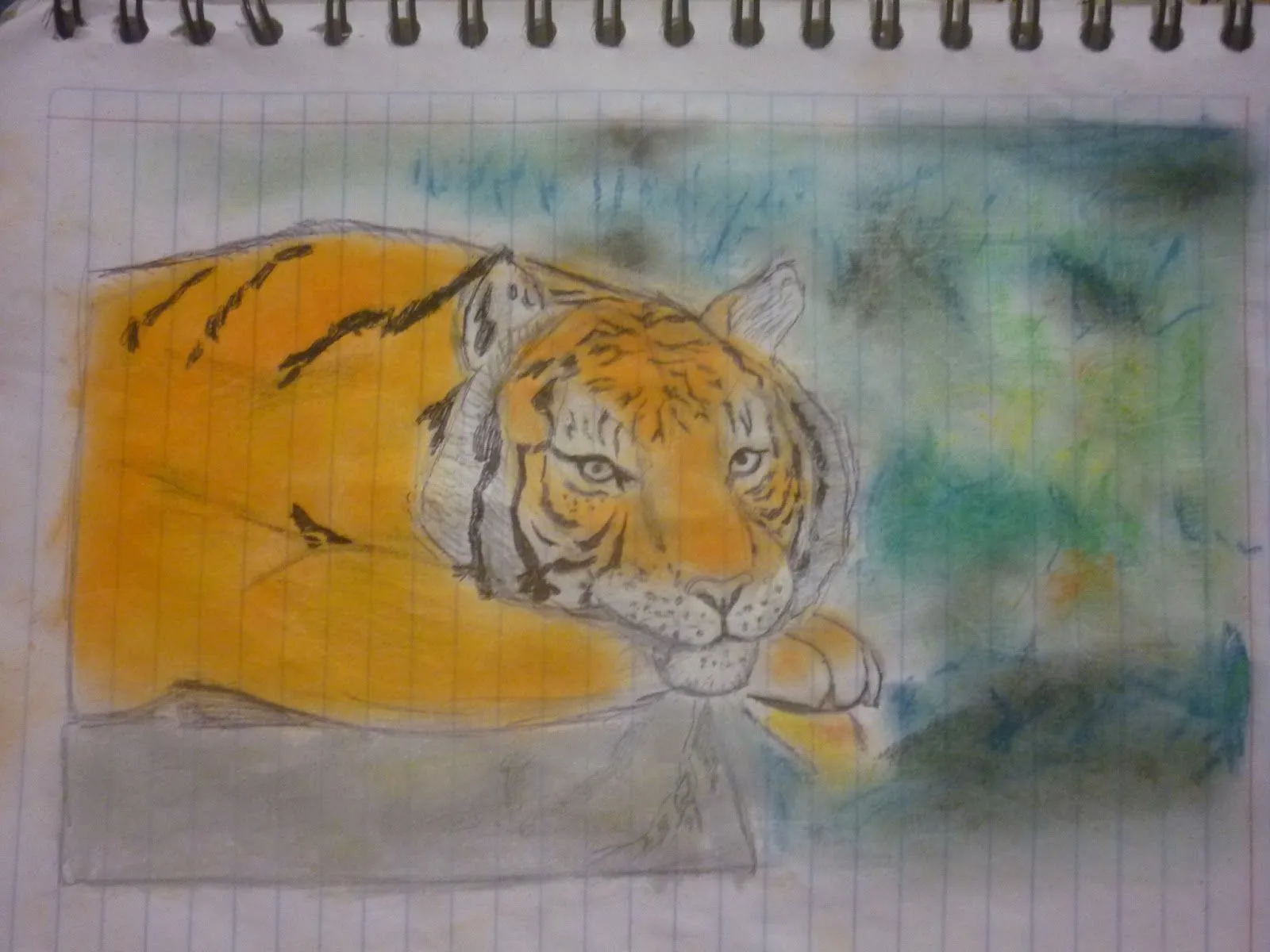 tigre de bengala (dibujo a lapiz y a pastel) | plastilina