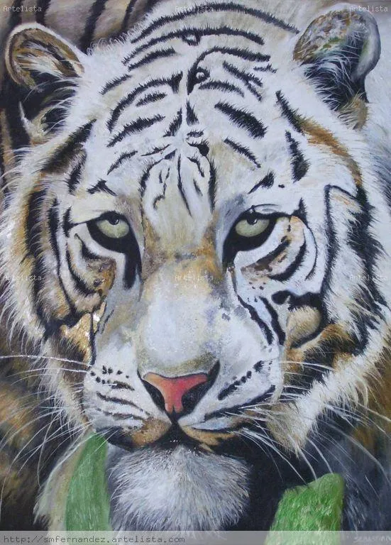 Tigre de Bengala Sebastian Marcos Fernandez - Artelista.