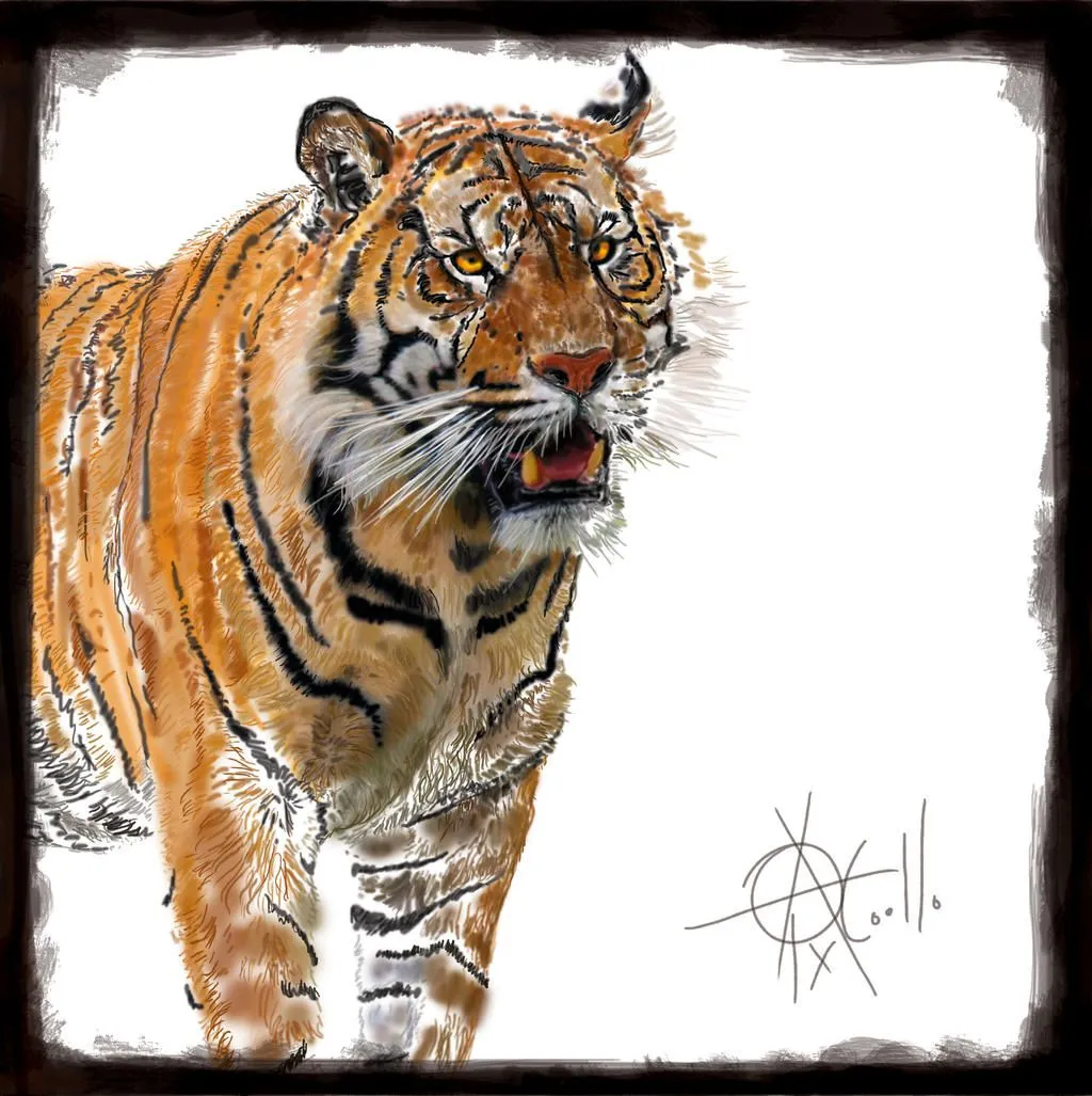 TIGRE-DIBUJO by *guayasamin on deviantART