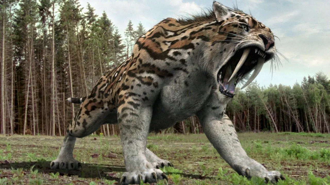 Tigre dientes de sable (Smilodon) ~ Naturaleza Insólita