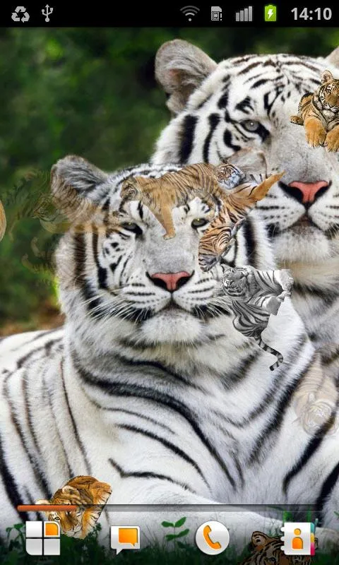 Tigre Fondo Animado - Aplicaciones de Android en Google Play