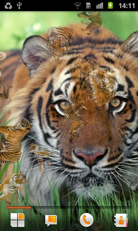 Tigre Fondo Animado - Aplicaciones de Android en Google Play