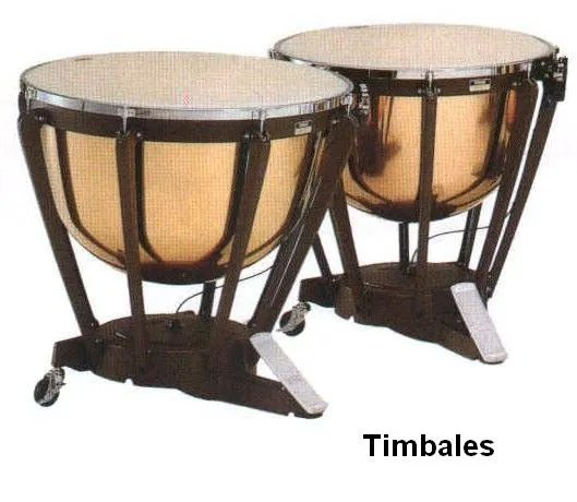 Timbales.jpg