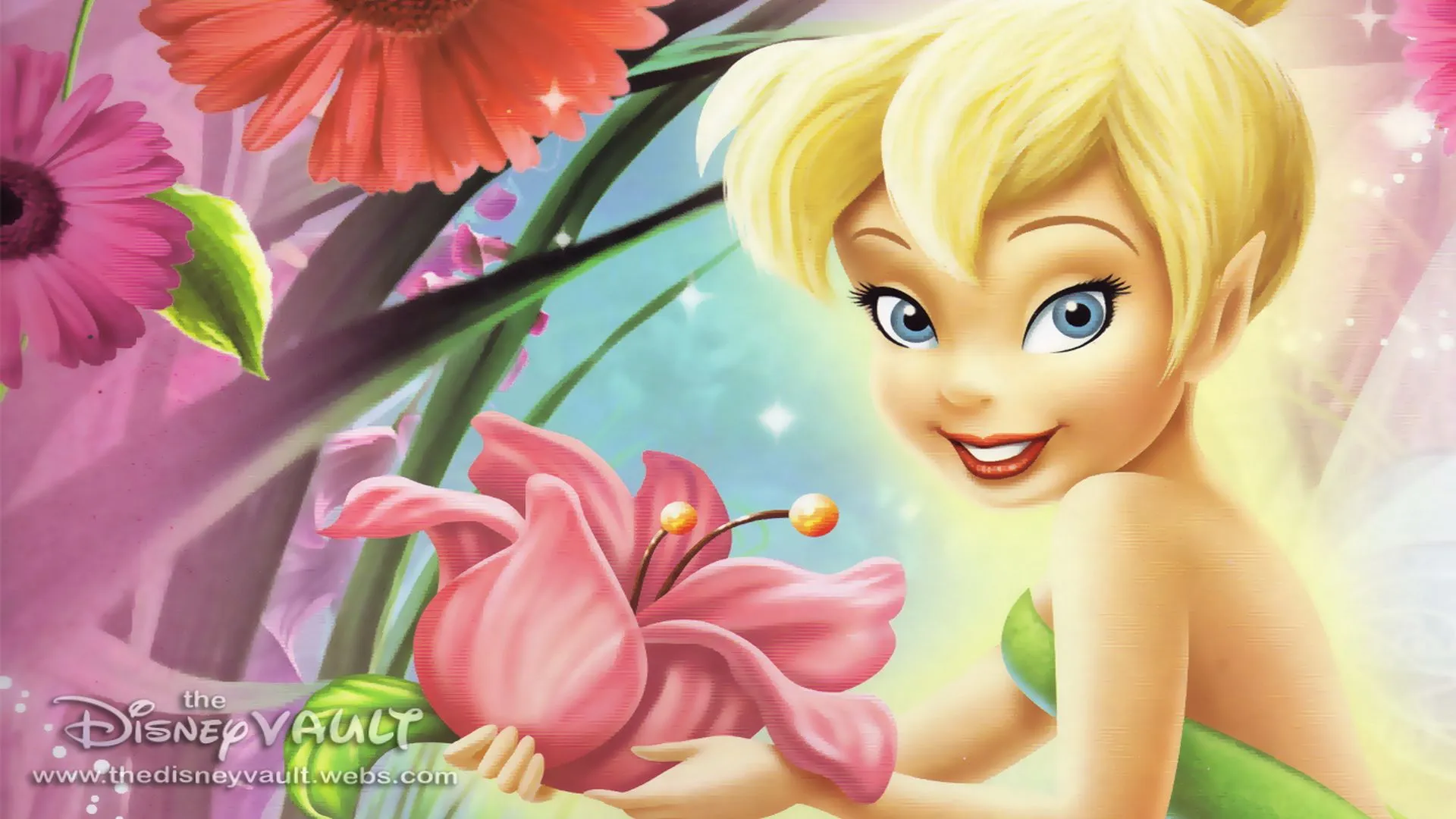 tinkerbell Computer Wallpapers, Desktop Backgrounds 1920x1080 Id ...