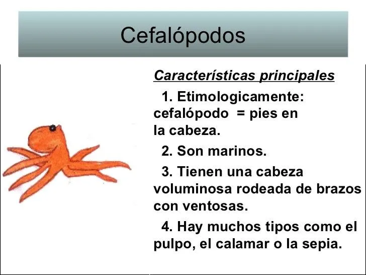 Tipos de Animales y sus características