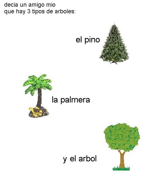 Nombres de tipos de árboles - Imagui