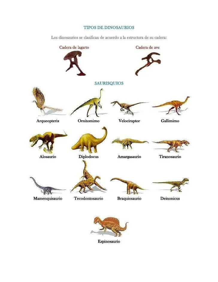 Tipos de dinosaurios