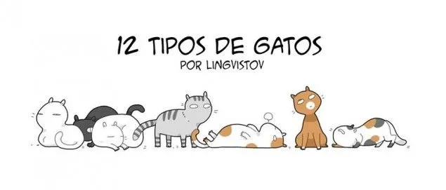 Tipos de Gatos en Caricaturas - Taringa!