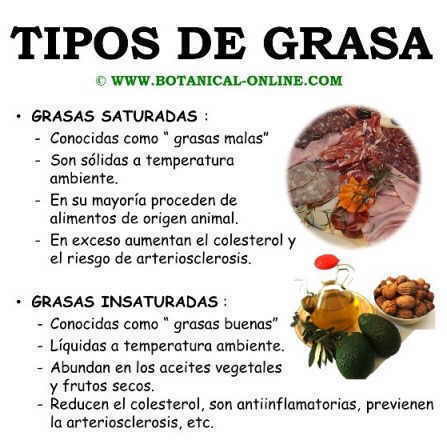 Tipos de grasas