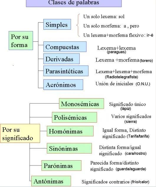 Tipos de Palabras | Lengua castellana y Literatura