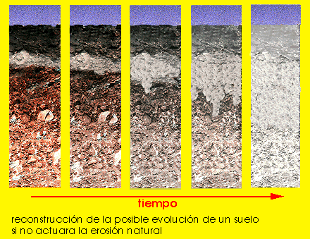 Tipos de Suelos: agosto 2014