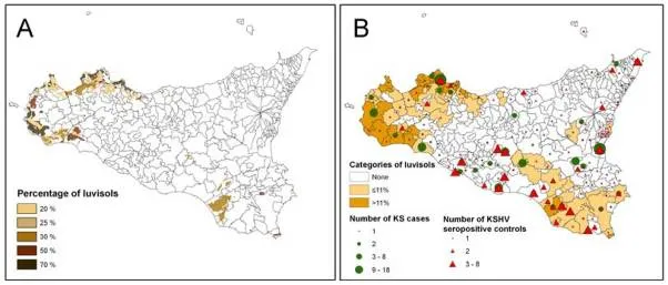 Tipos de Suelos, Sarcoma de Kaposi y otras enfermedades linfáticas