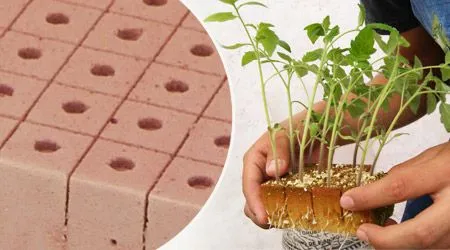 Tipos de sustratos para Hidroponia : .: Hydro Environment .: